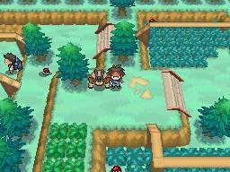 Pokemon Schwarz Und Weiss 2 Legendare Pokemon