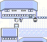 Screenshot Pokemon Gelb