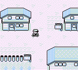 Screenshot Pokemon Rot/Blau