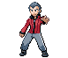 Arenaleiter 5